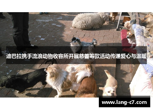 迪巴拉携手流浪动物收容所开展慈善筹款活动传递爱心与温暖