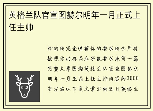 英格兰队官宣图赫尔明年一月正式上任主帅